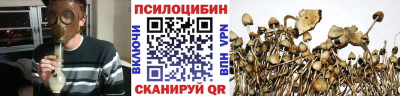 Псилоцибиновые грибы Psilocybe кракен Дивногорск